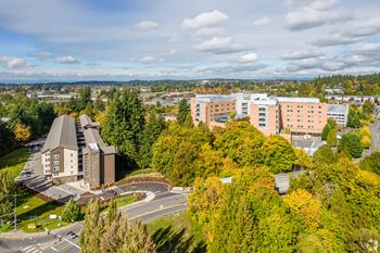 Forest views in select apartments